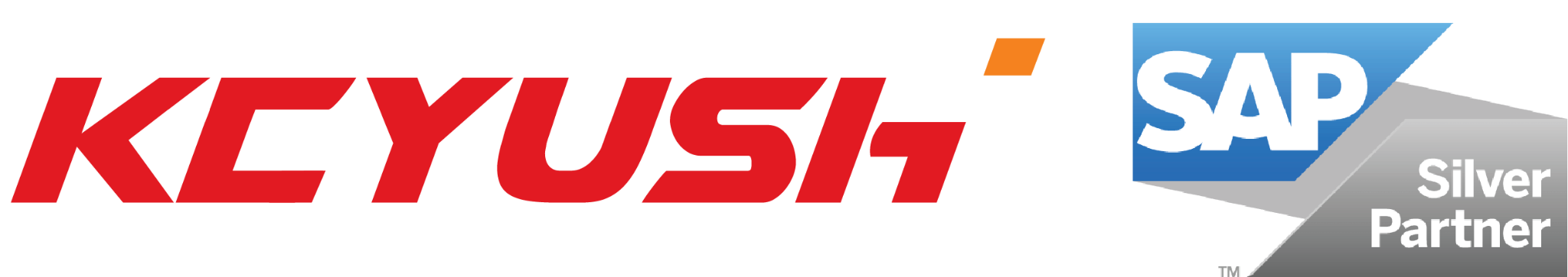 Keyush and SAP Silver Partner logo
